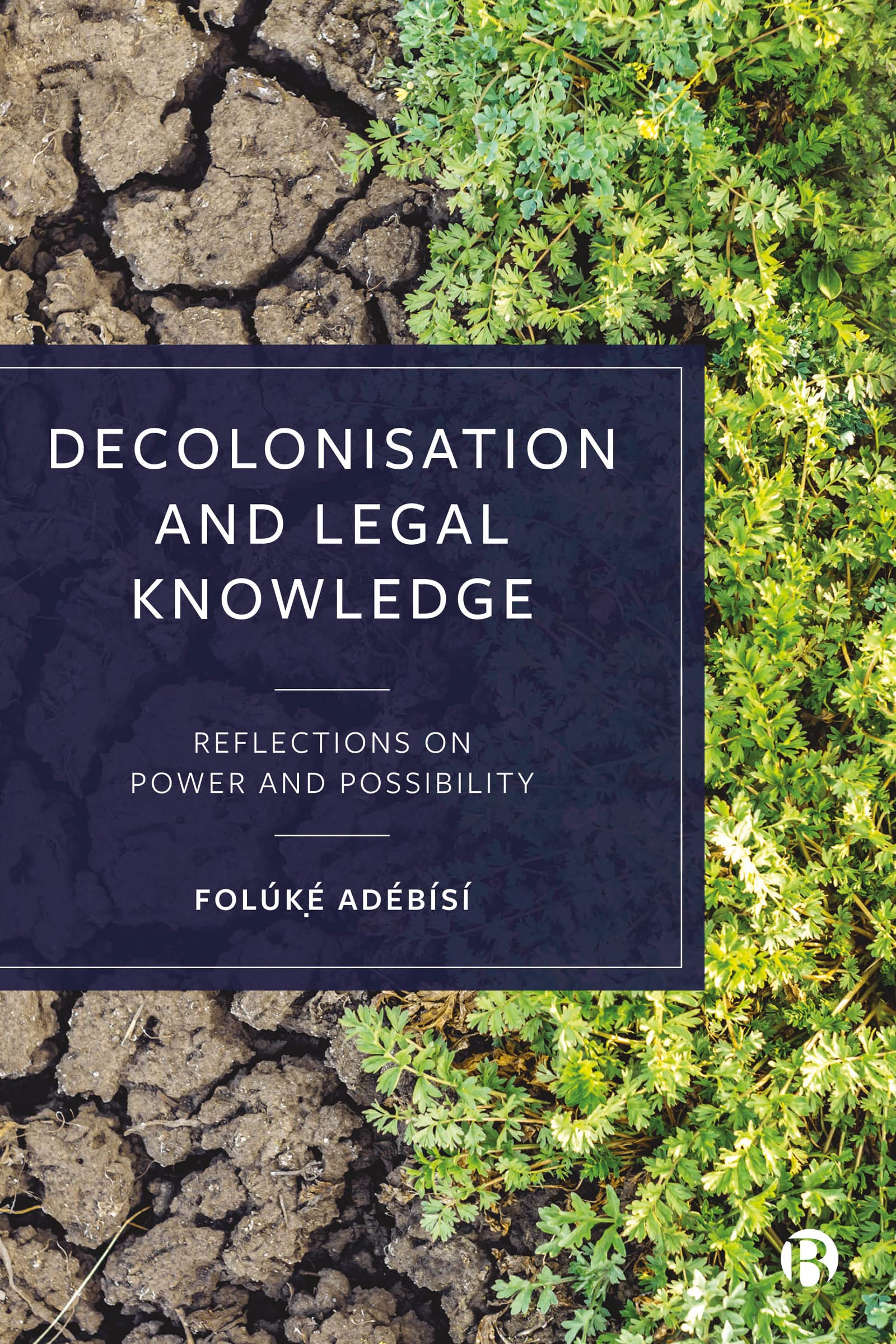 Buy Decolonisation and Legal Knowledge: Reflections on Power and Possibility — BookShops.in
