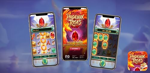 Fortune Phoenix – vue 5