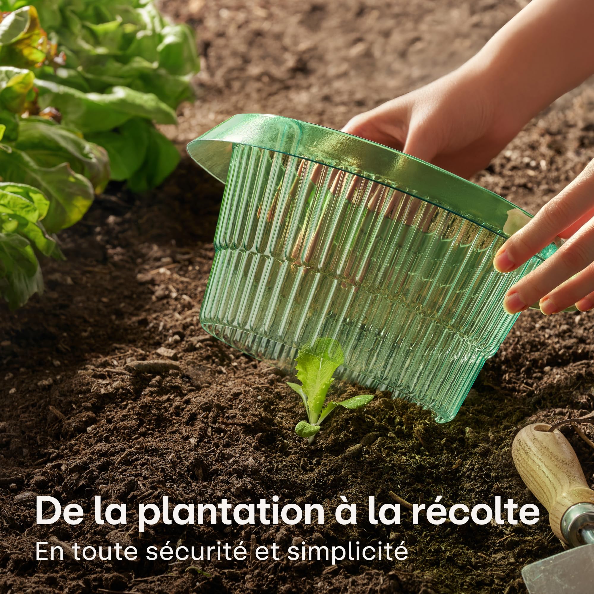 Praknu Collet Anti Limaces 10 pièces Barrière Réutilisable Résistant Aux Intempéries pour Laitues Légumes Fleurs
