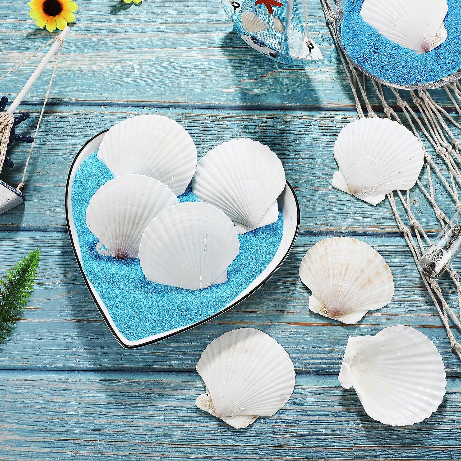 GlikCeil 50 Pcs Sea Shell for Crafting Natural Large Scallop White Oyster Shells Bulk for Decorating DIY Home Decor Beach Wedding Ocean Themed Party(2.8''-3.1'')