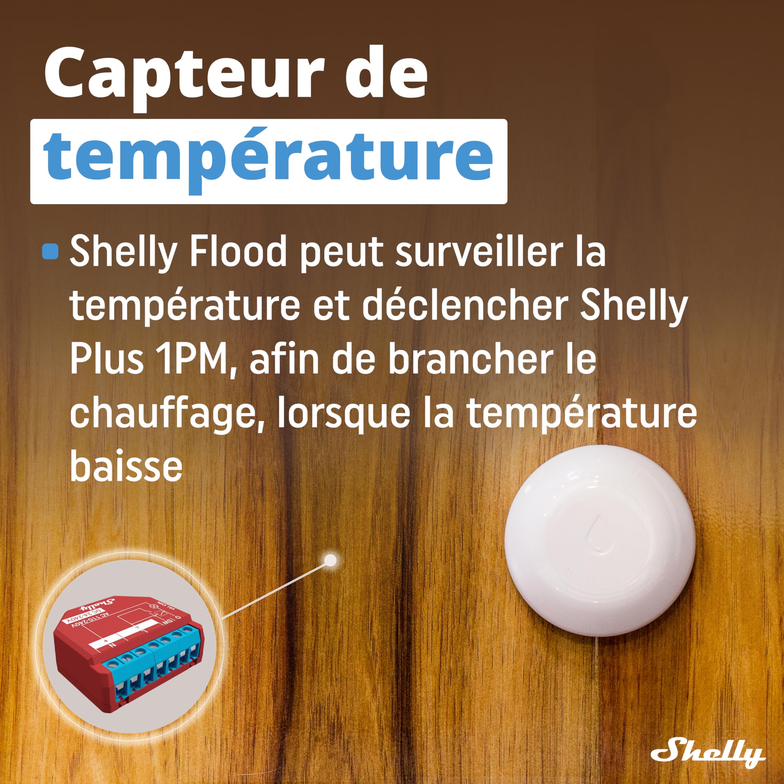 Shelly Flood - Détecteur de Fuite d’Eau Wi-FI, Alerte inondation, Notification instantanée par app iOS, Android, Capteur de température, Batterie Longue durée, Portée 30 à 50 m