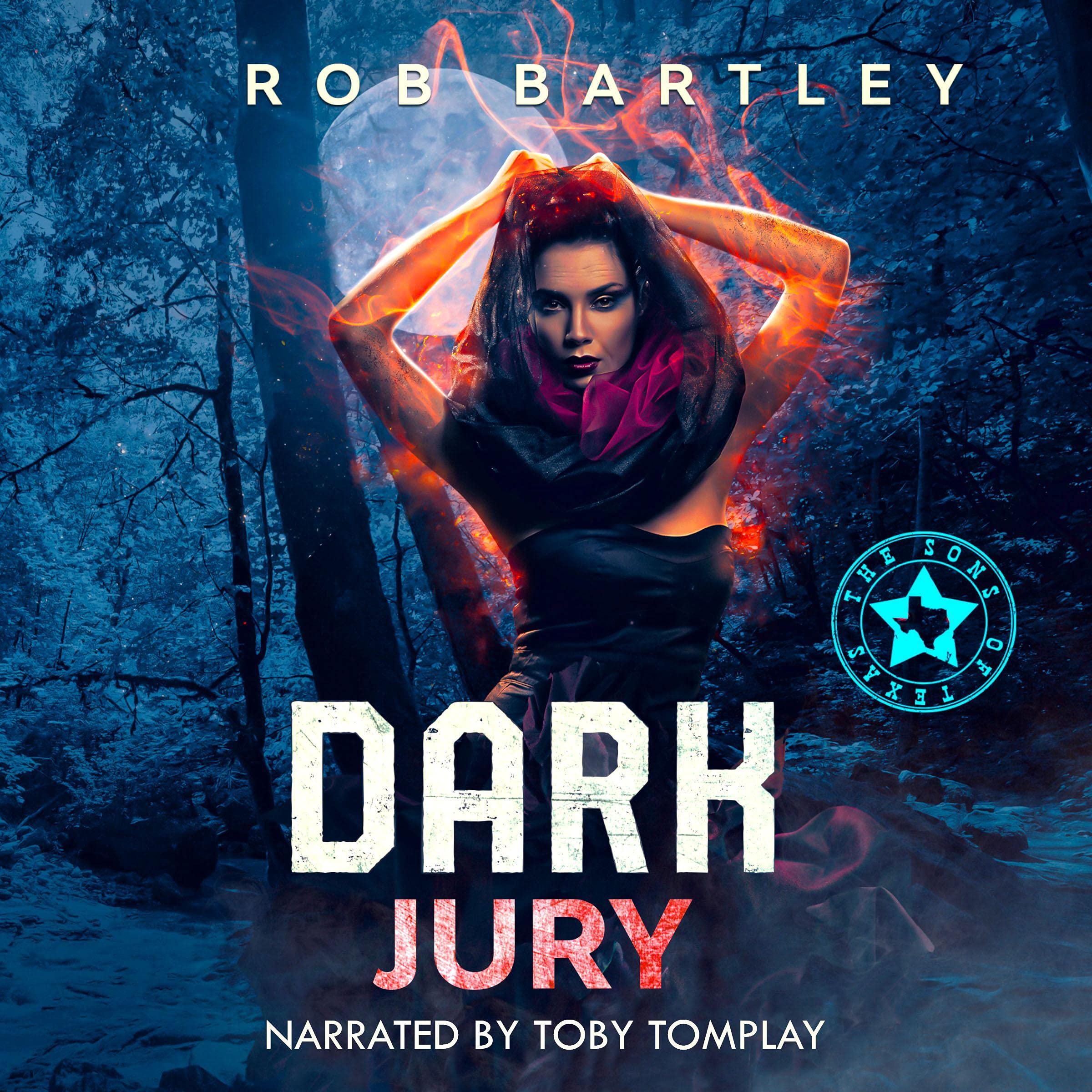 Cover art for Dark Jury