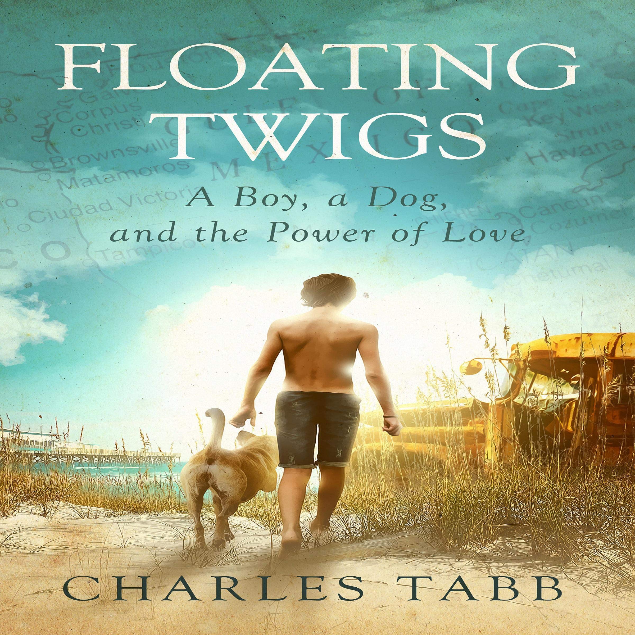 Cover art for Floating Twigs