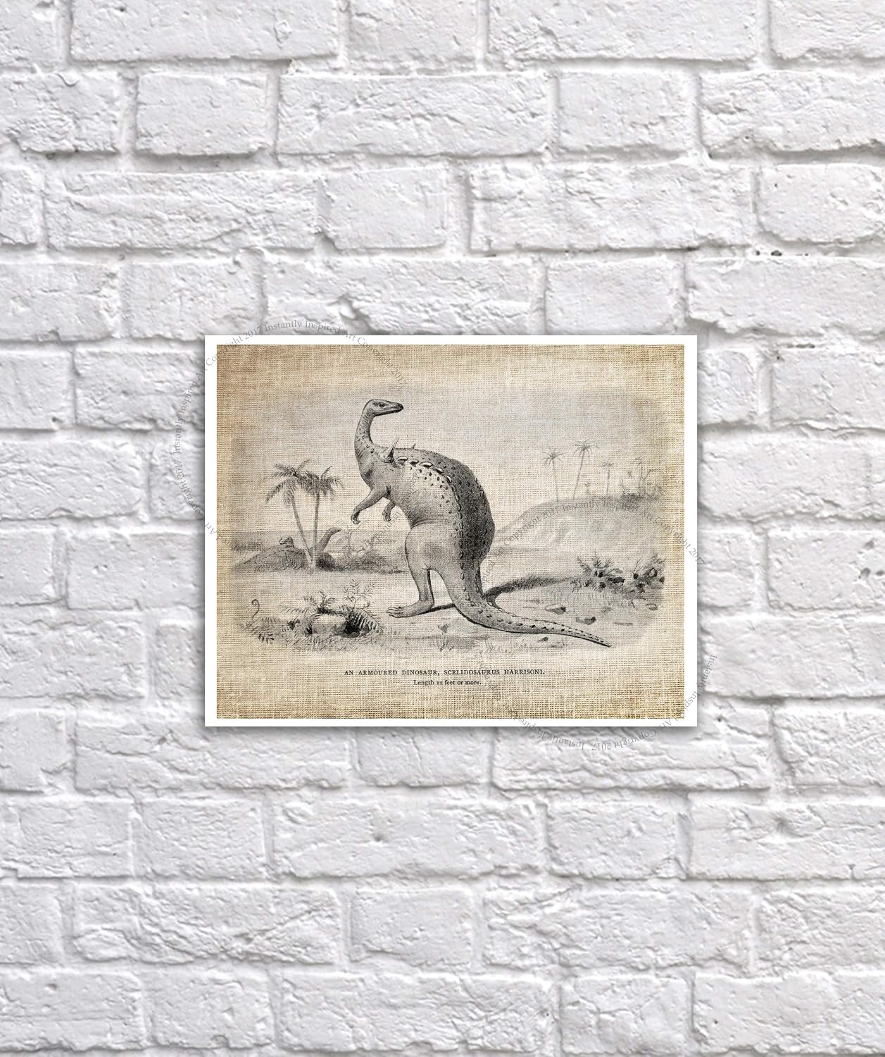 Gnosis Picture Archive Dinosaurs Pictures set of 4 Unframed Art Prints Nursery Kids Room Decor