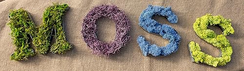 Miniatura 6 de SuperMoss. Musgo de bosque conservado., Verde fresco