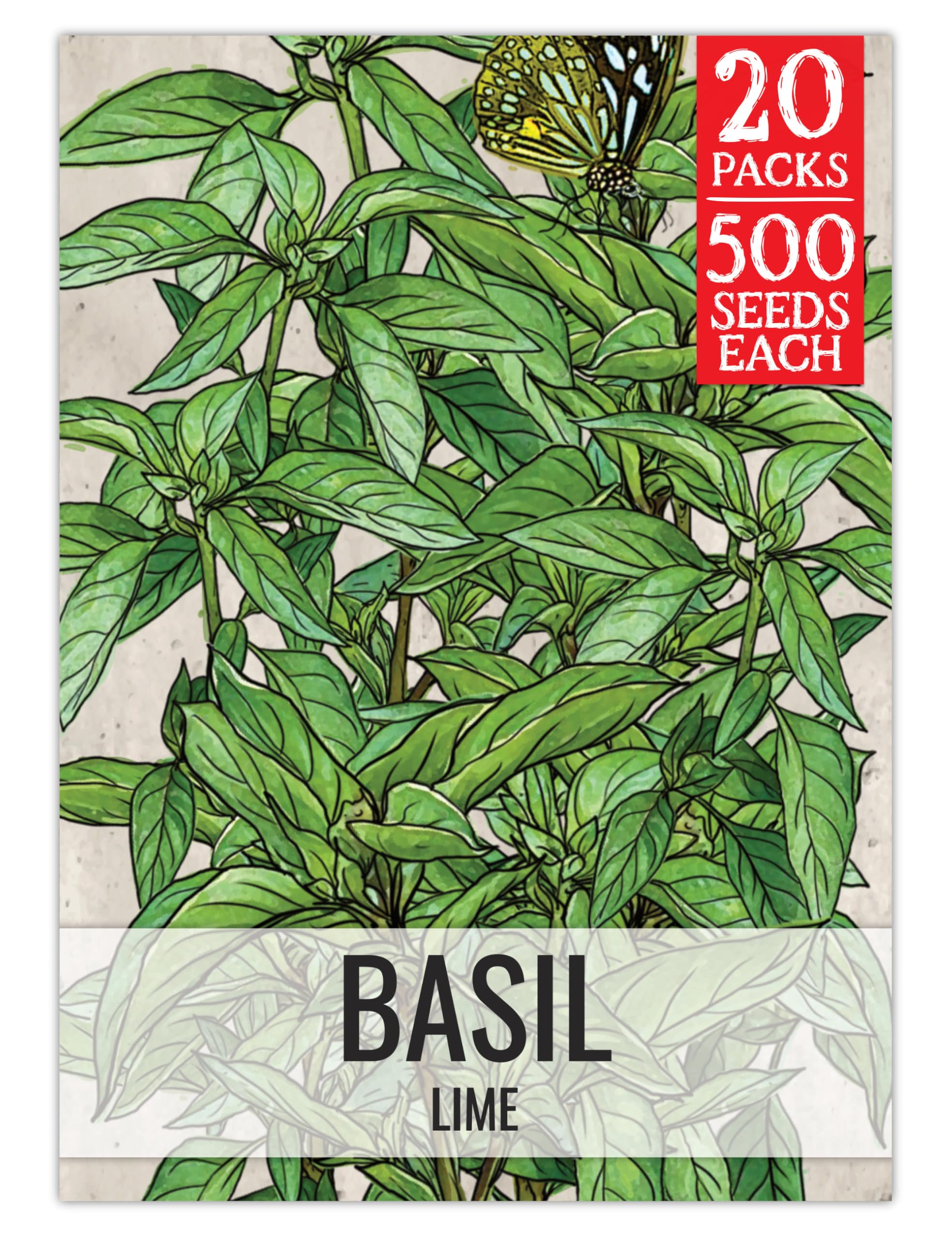 Seed Needs Lime Basil Seeds