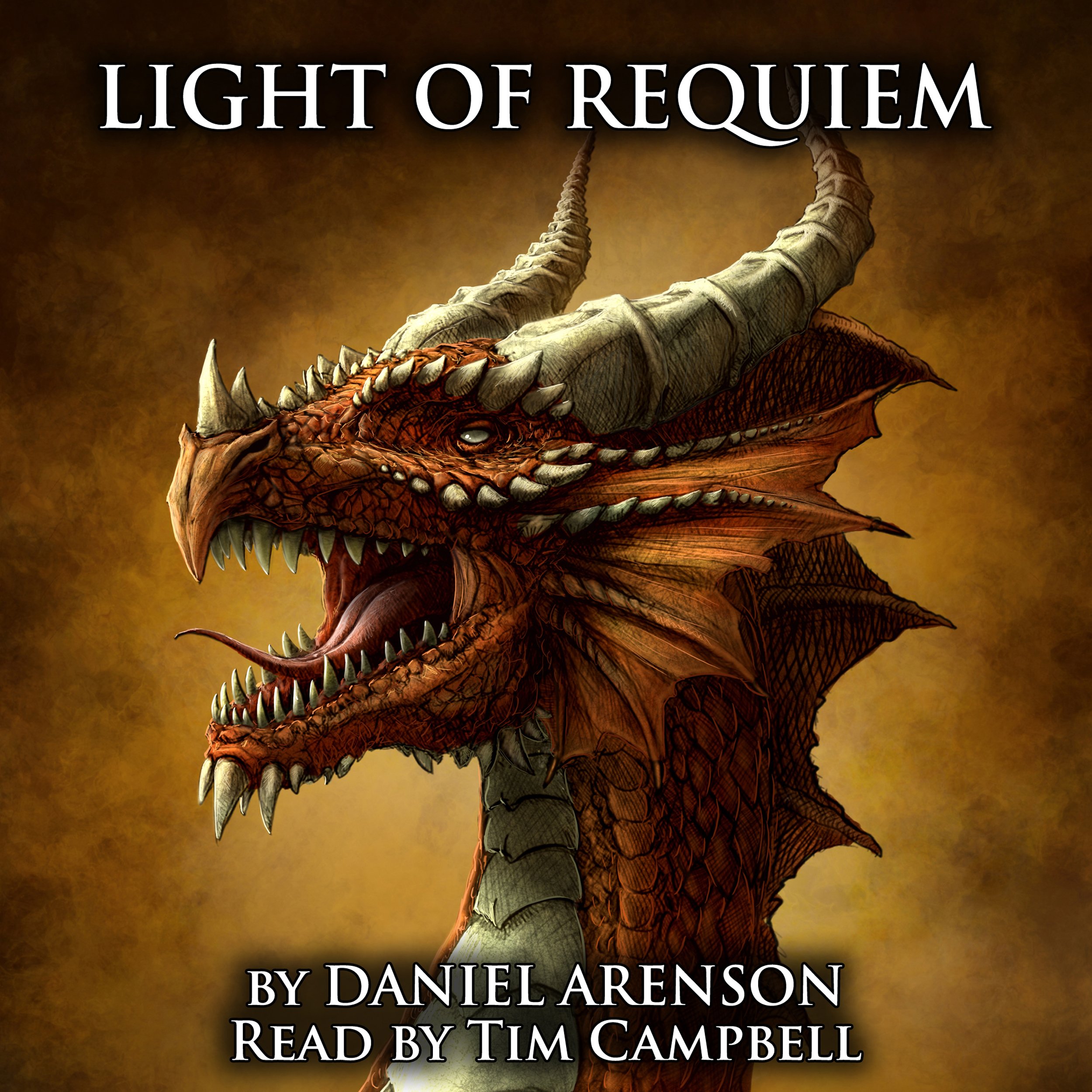 Cover art for Light of Requiem