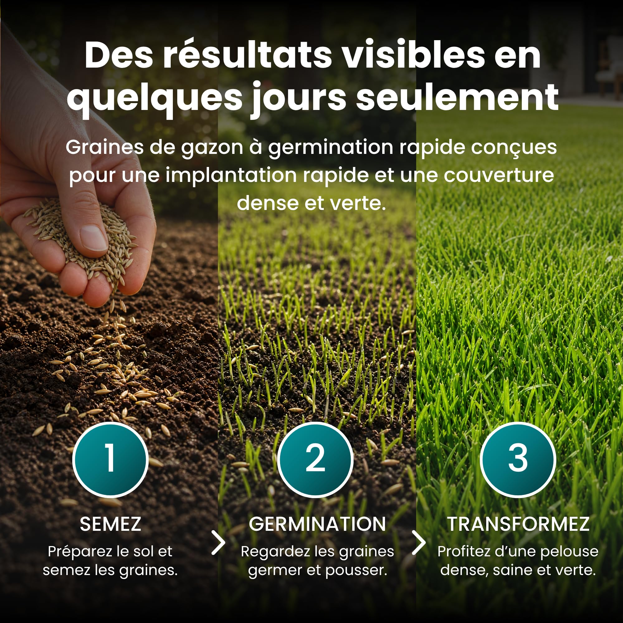 LERAVA Turbo gazon à semer pousse rapide 10m² pelouse ombre zones fraîches 98% pureté rustique vert vif semence résistante