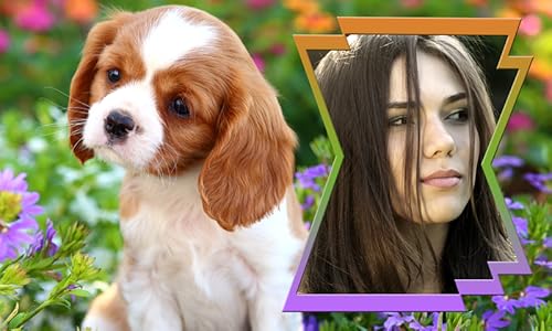 Animais bonitos Photo Frames