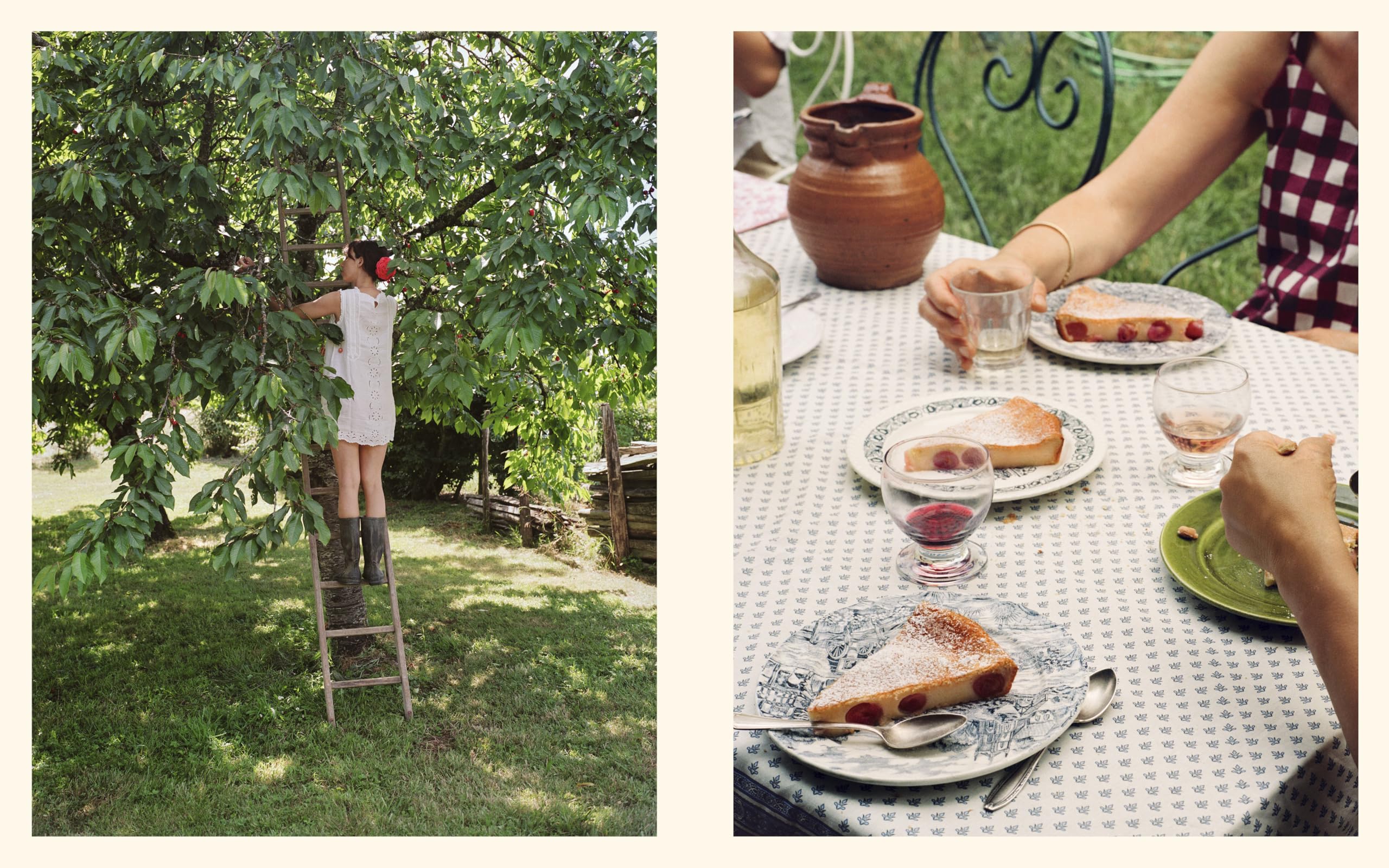 Cake From Lucie: Recipes and Techniques from the French Countryside to New York City: A Baking Book