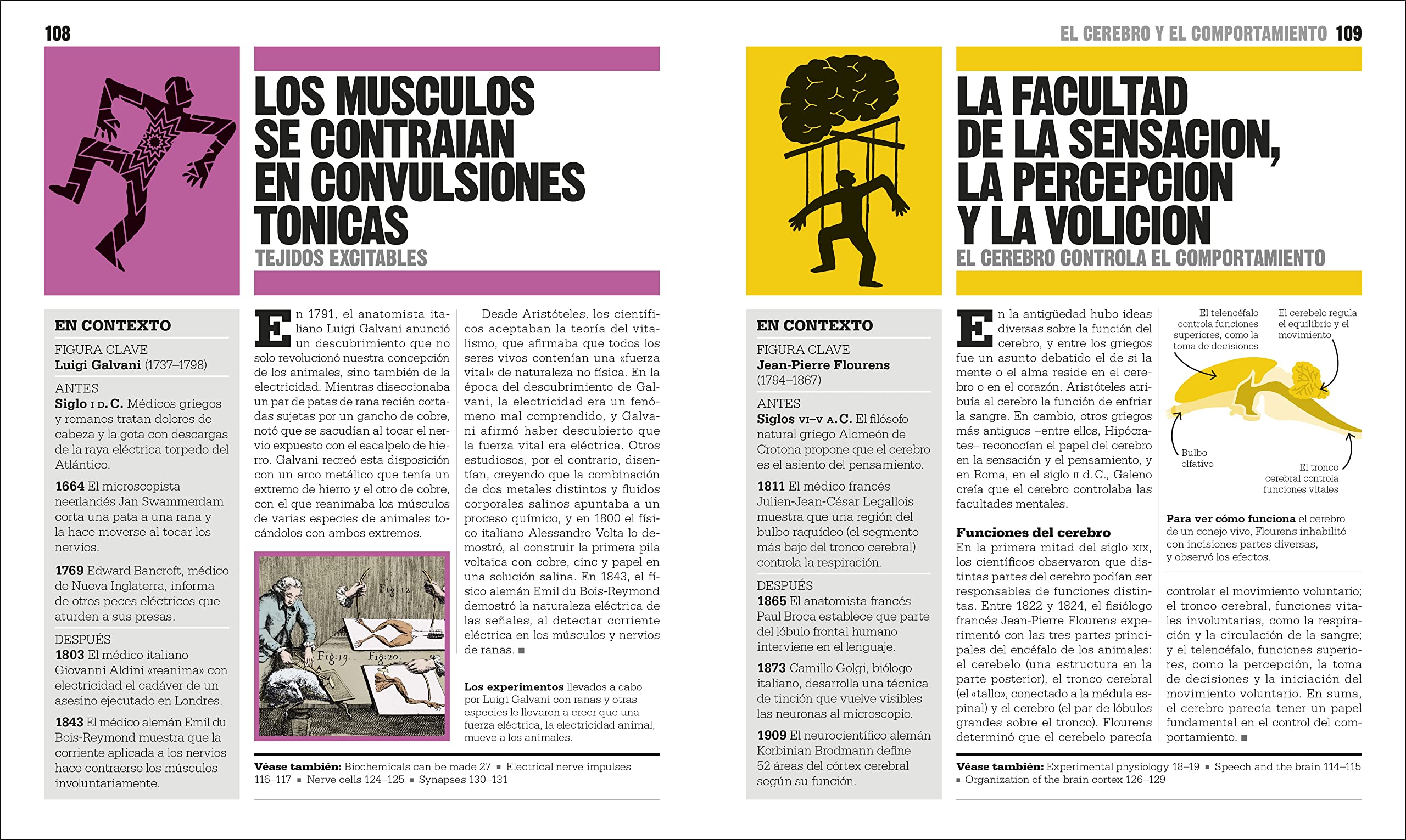 El libro de la biologia (The Biology Book) (DK Big Ideas) (Spanish Edition) - Image 8