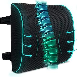 Mr. Pen- Lumbar Support Pillow, Memory Foam Lumbar Pillow, Car Lumbar Support, Office Chair Back Support, Back Cushion, Back Support Office Chair, Chair Pillow, Desk Chair Back Support