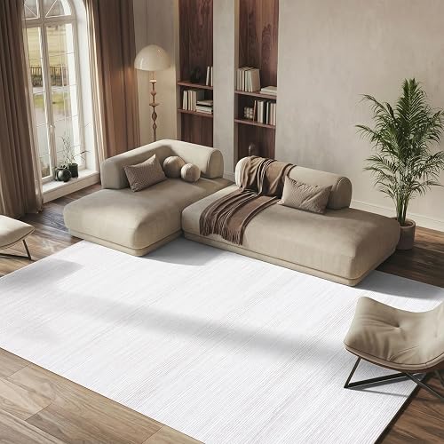 SAFAVIEH Area Rug 8x10 - Vision Collection - Large - Ivory & Grey, Modern Ombre Design, Non-Shedding & Easy to Clean, Ideal for Living Room, Bedroom, Dining Space (VSN606K)