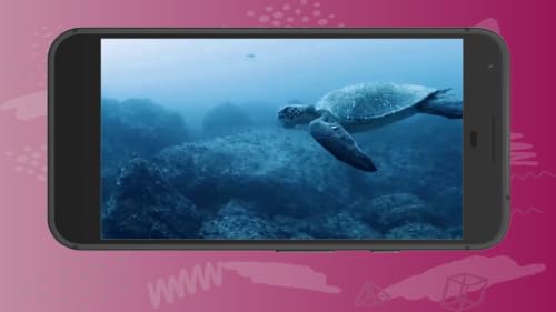 Peaceful Aquarium Oceanic Coral Reefs Deep Sleep Sounds Screensaver for Fire TV – vue 3