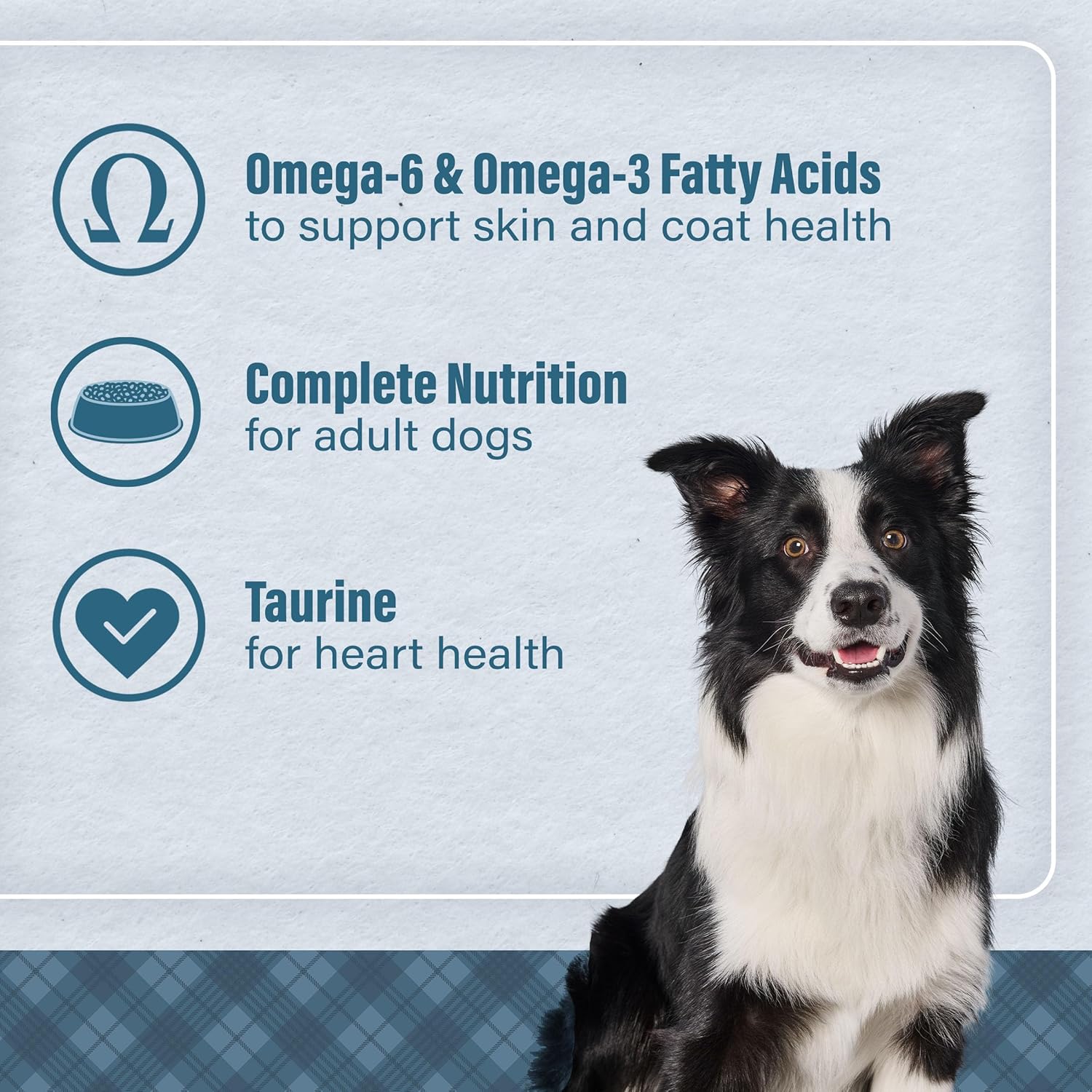 Nutrena Loyall Life Adult Dog Food, Beef & Barley Recipe, 40 lbs