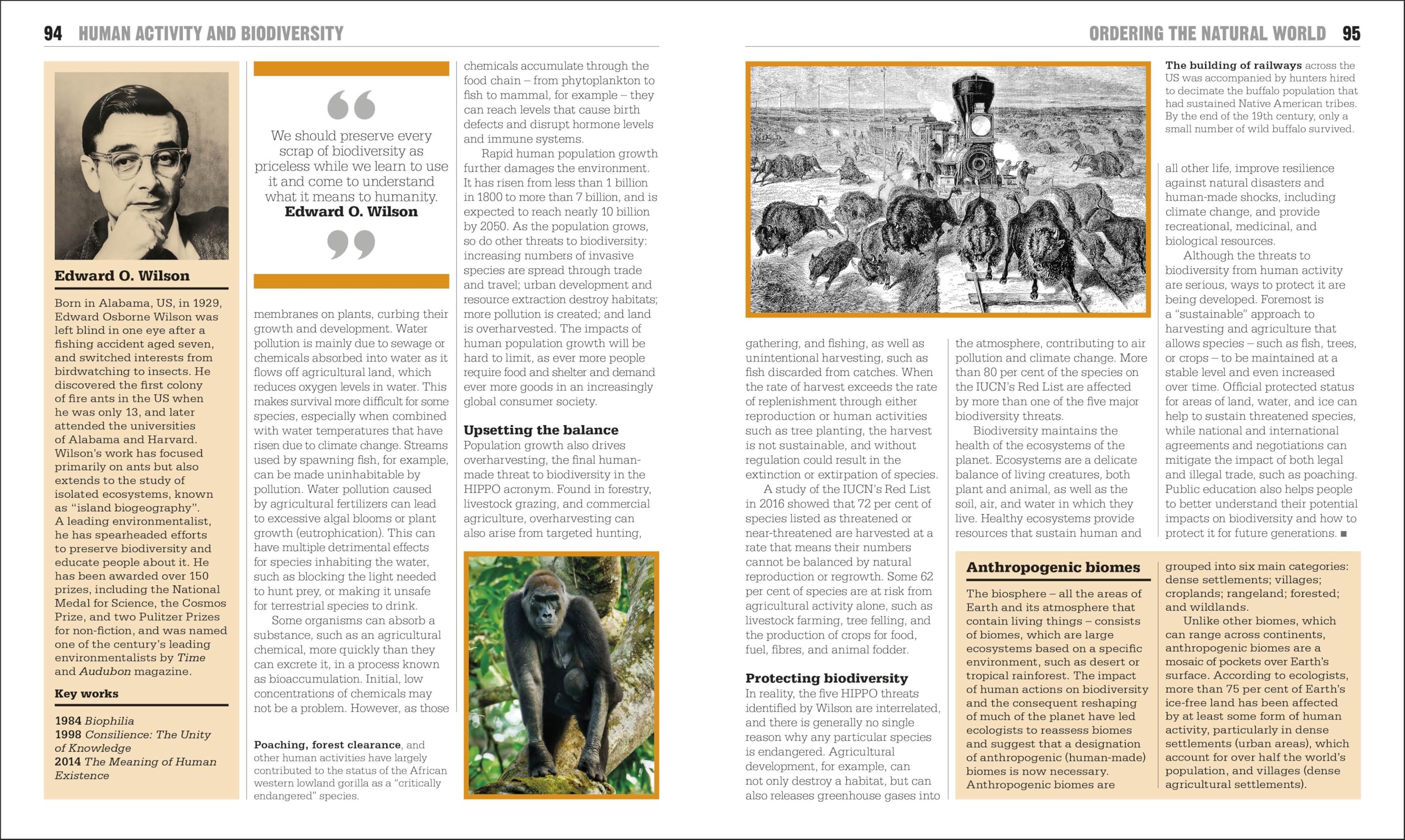 The Ecology Book: Big Ideas Simply Explained