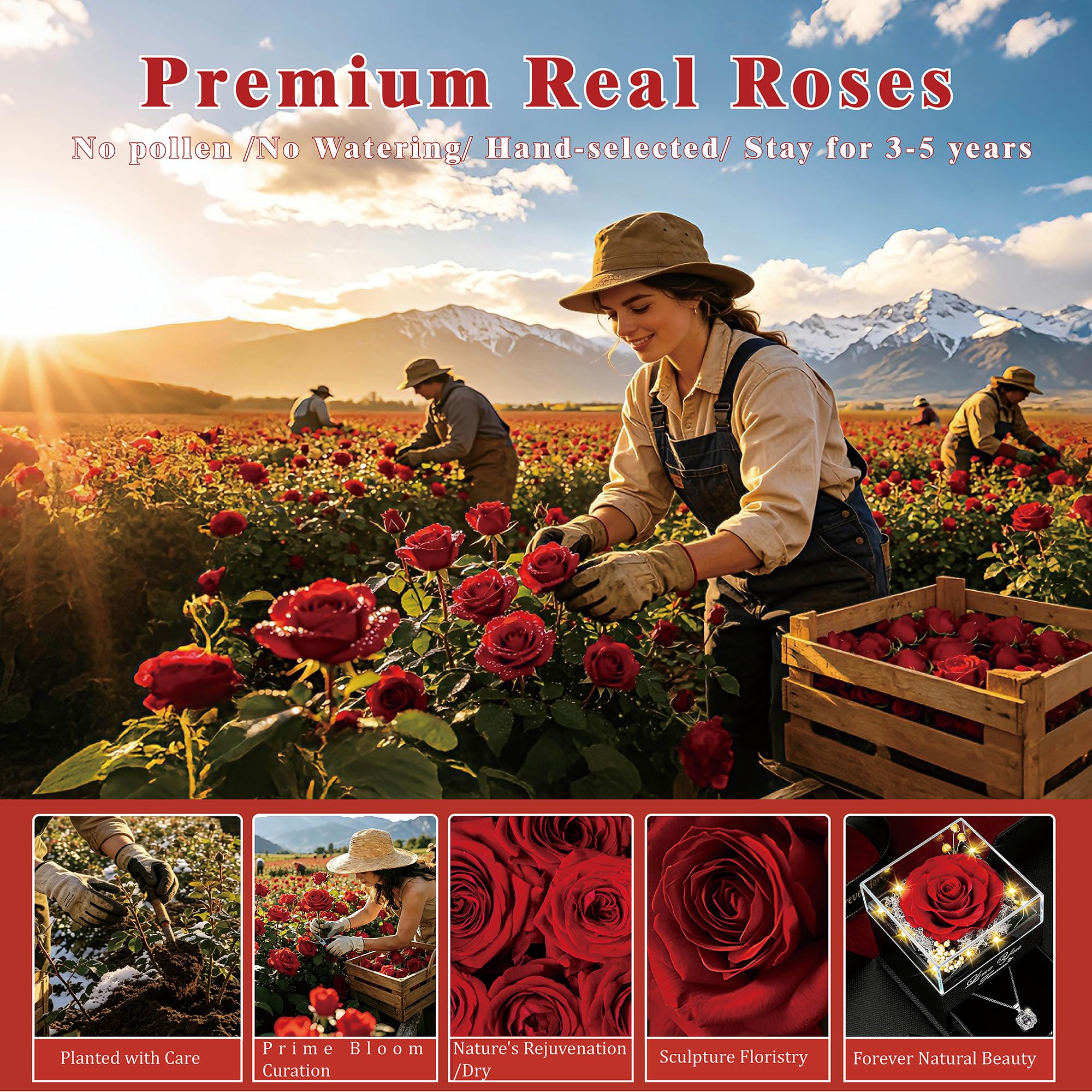 Rosa preservada real roja y collar con frase “te amo”, flores eternas, regalo de cumpleaños para mujer, mamá, esposa, novia, abuela, en San Valentín, Día de la madre, Navidad o aniversario 6