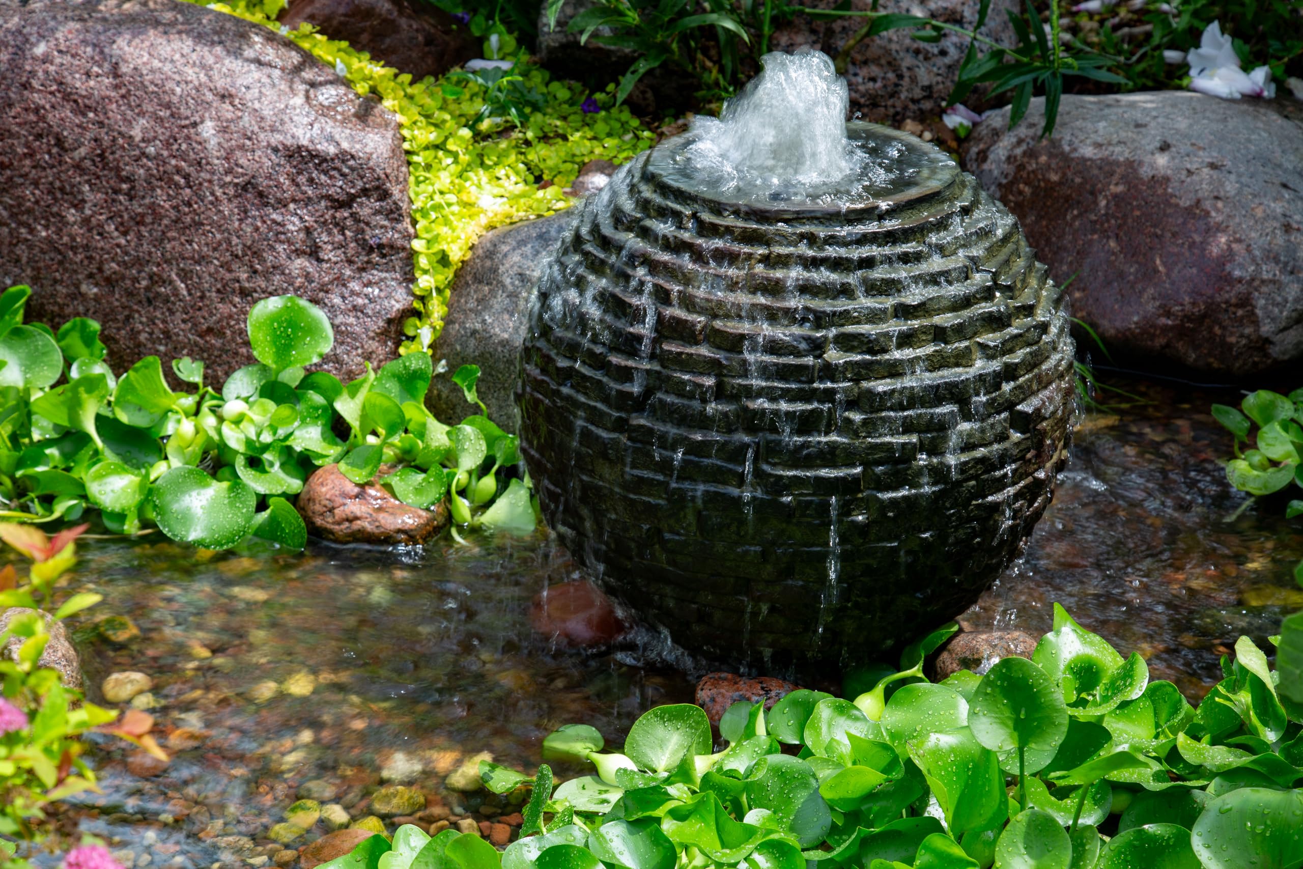 Aquascape