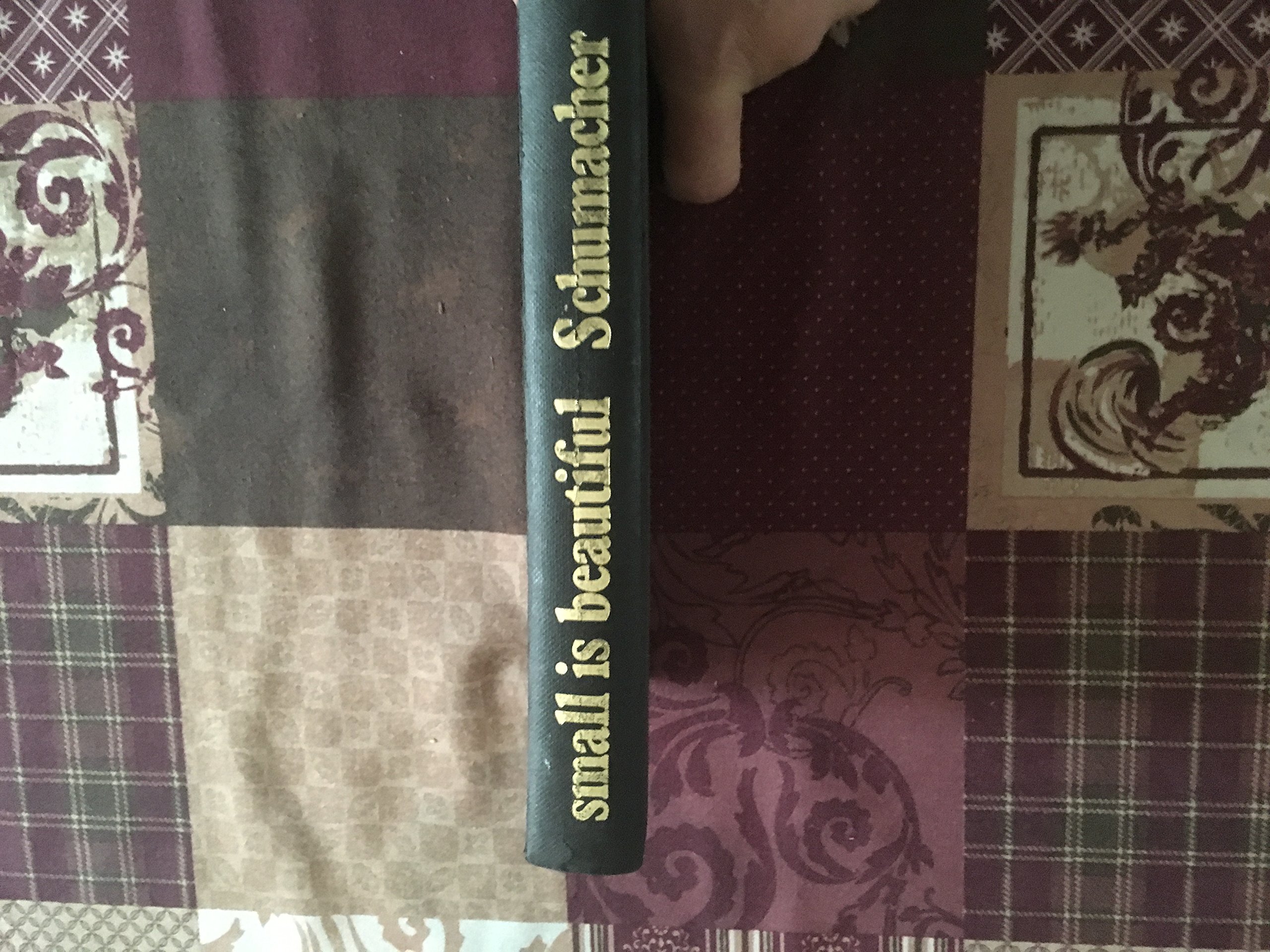 Buy Small is Beautiful: Economics as if People Mattered — BookShops.in