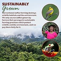 Vista 6 de Café orgánico bajo en ácido – Granos enteros, sin moho y amigable para el estómago de Java Planet, Café descafeinado de origen único peruano, tueste