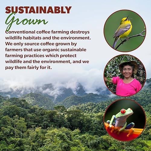 Miniatura 7 de Café orgánico bajo en ácido - Grano entero, sin moho y apto para el estómago por Java Planet, café descafeinado peruano de origen único, tostado