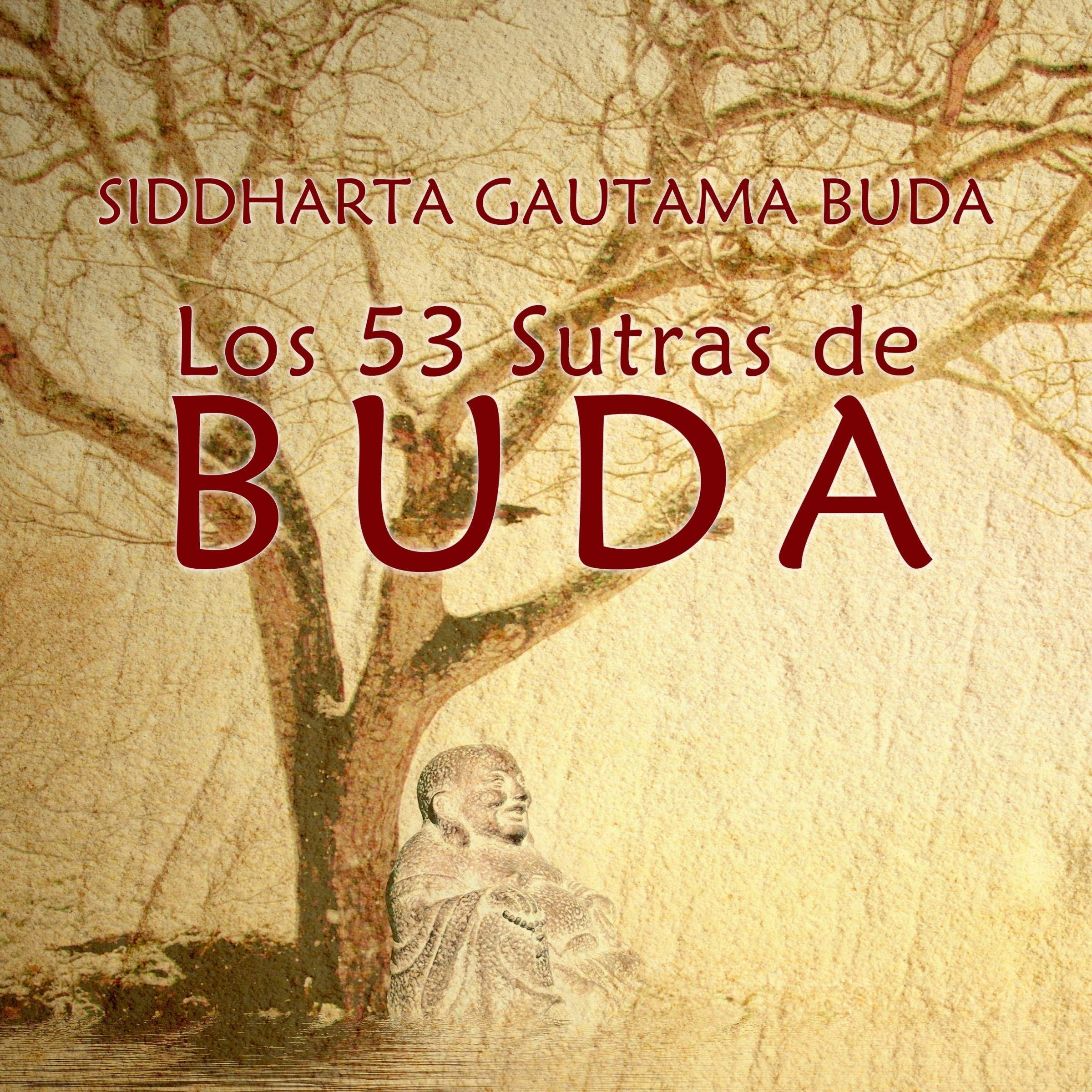 Cover art for Los 53 Sutras de Buda