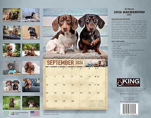 Miniatura 8 de The KING Company-Monster Calendario de pared 2025 de 16 meses, tamaño XL, 14 x 22 pulgadas, el mejor calendario de perro salchicha por The KING