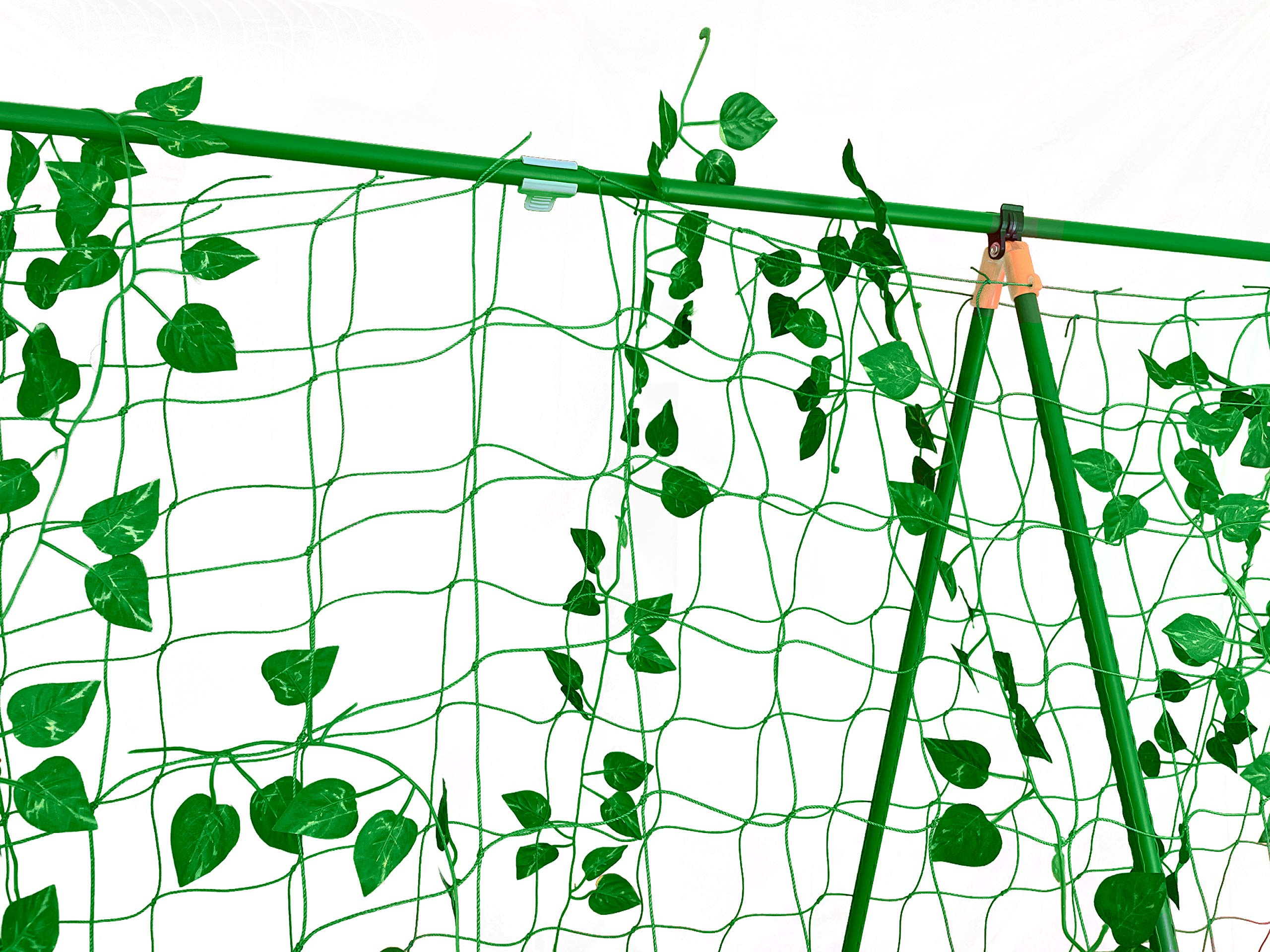 Buy Reinforced Metal Garden Trellis for Climbing Plants Outdoor on or