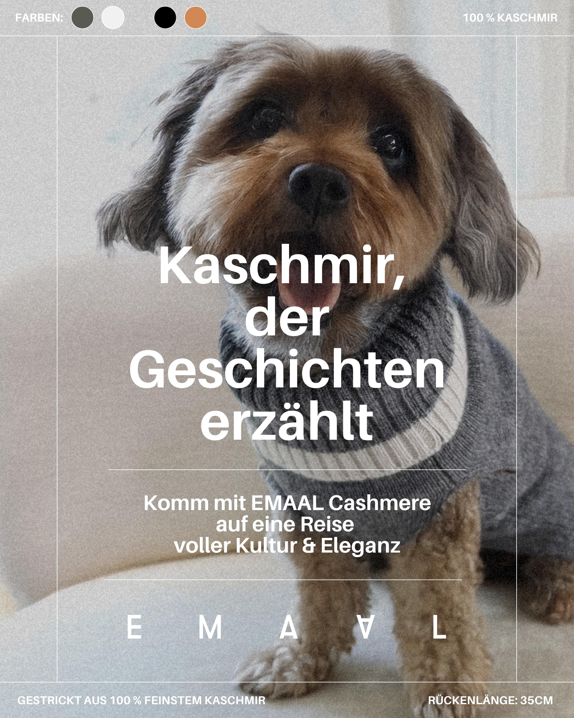 EMAAL 100% Kaschmir Hundesweater Colorado, Grau, Weiss, Gestrickt, für kleine Hunde bis 35 cm Rückenlänge, warm, bequem, für jedes Fell, für kühle Spaziergänge oder gemütliche Abende zu Hause