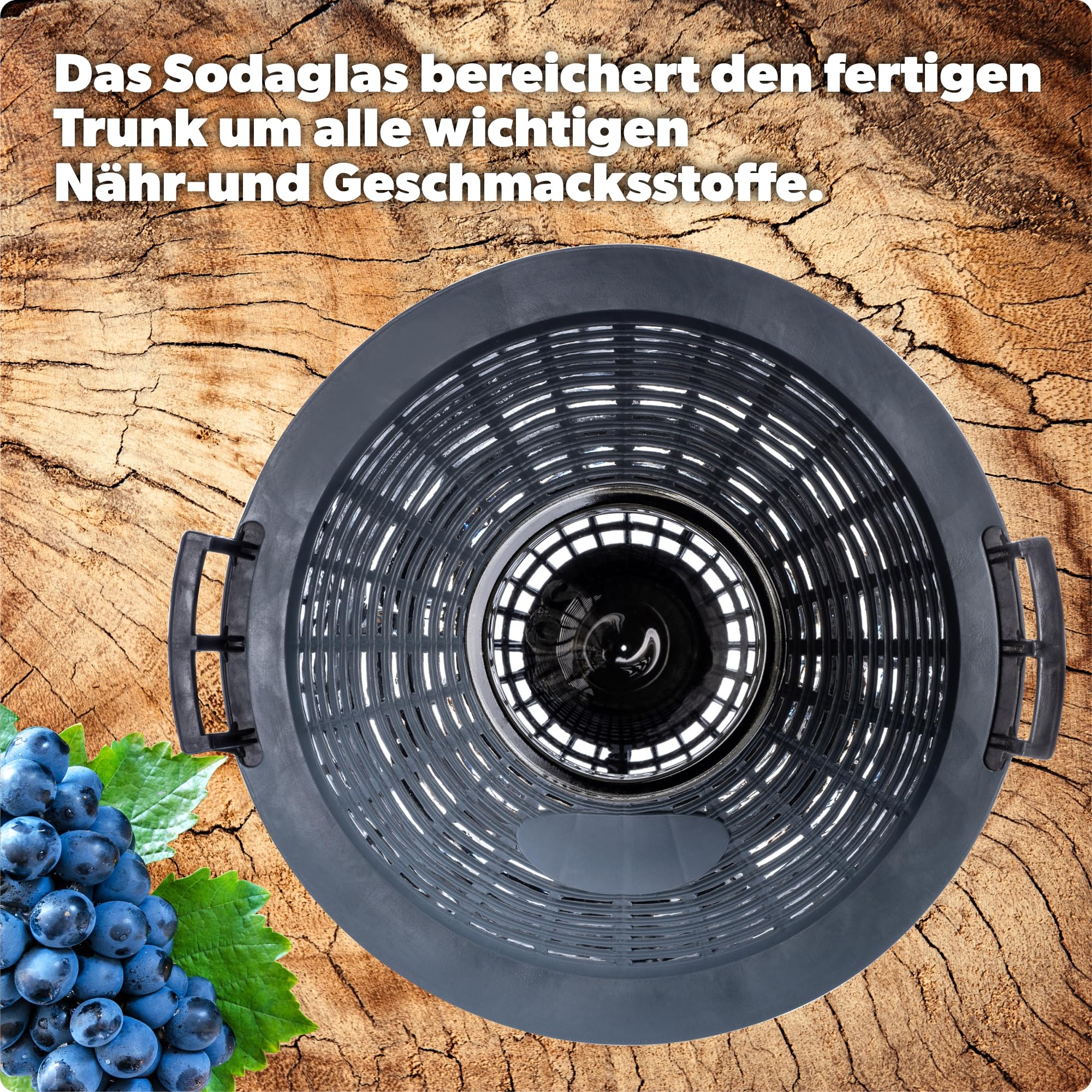 KADAX Glasballon, Gärballon mit Kunststoffkorb, Weite Öffnung, Gummistopfen, Weinballon, Glasgärballon, Flasche, Glasflasche, Gallone, Gärbehälter, Gäreimer (10L)