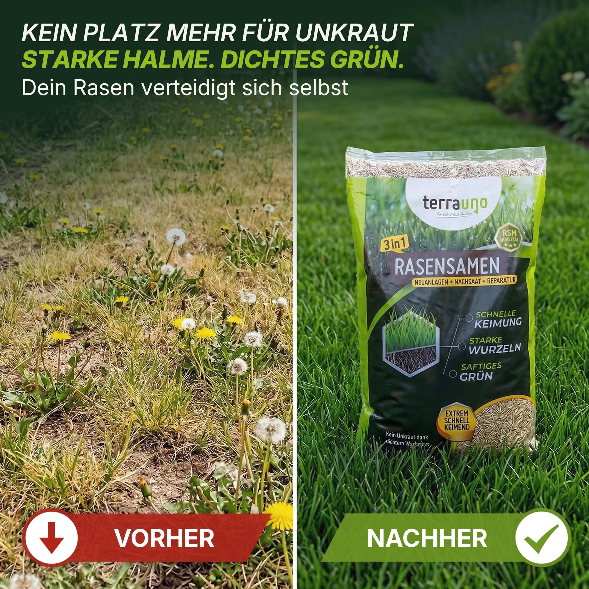 Terrauno - Rasensamen schnellkeimend I Nachsaat Rasen I Extrem hohe Keimrate I 1 kg für 50 m² I Rasensamen trockenresistent zur schnellen Lückenschließung I Rasennachsaat RSM Qualität