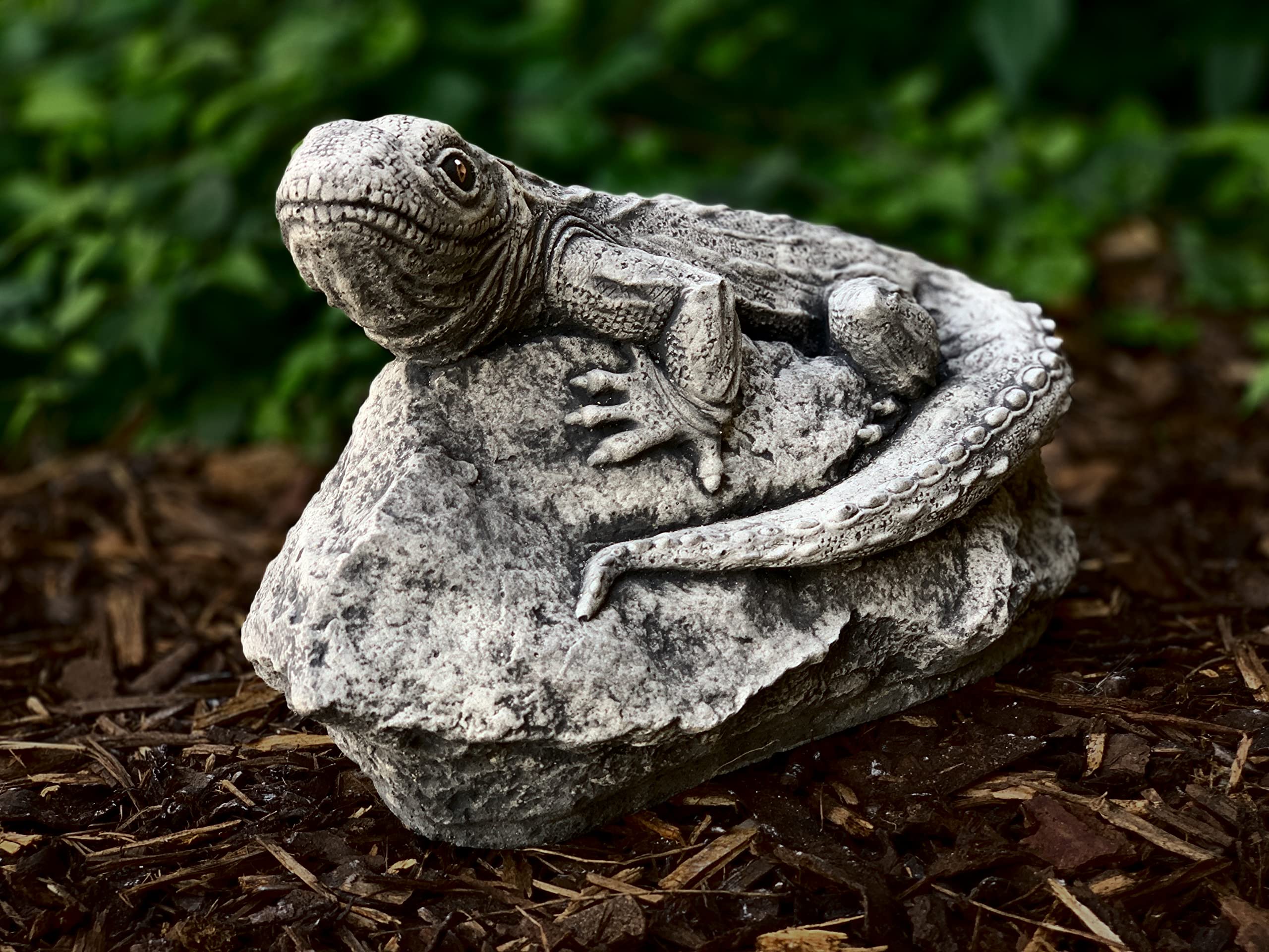 Amazon.com: Stone garden lizard Cement lizard on stone Concrete