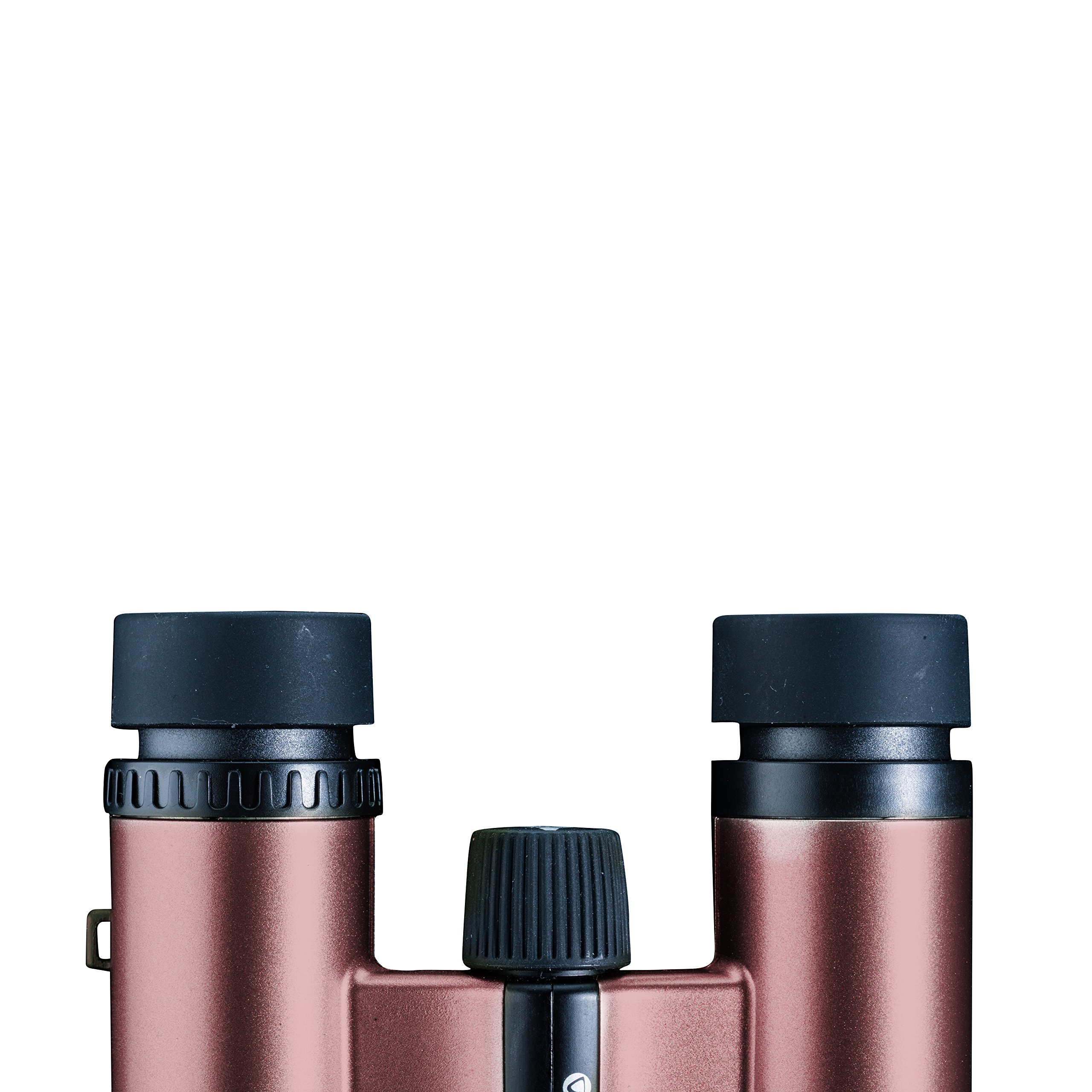 Vesta 8210 Rose