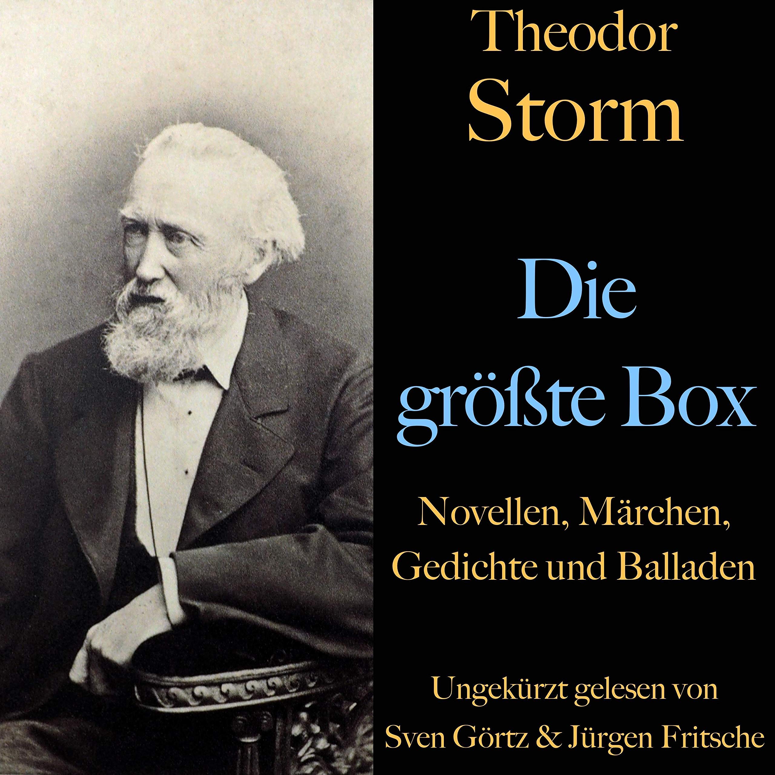 Theodor Storm. Die größte Box