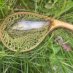 Amazon | 宇崎日新 ロッド ゼロサム テンカラ 6:4 320 | 宇崎日新