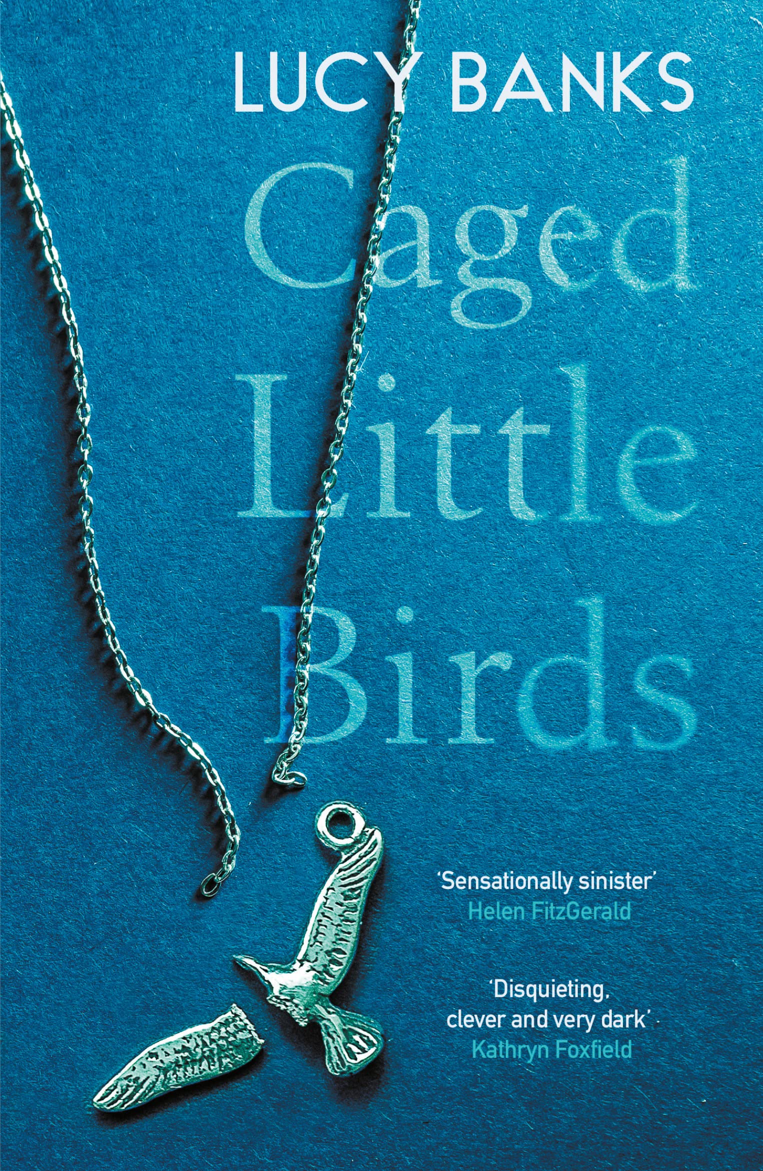 Caged Little Birds by Lucy Banks (Paperback Book)