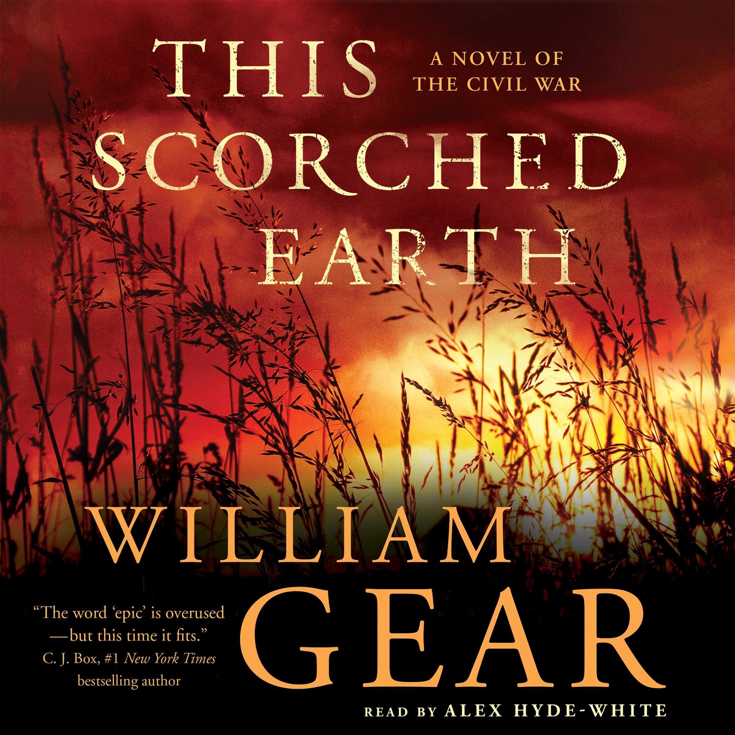 Cover art for This Scorched Earth