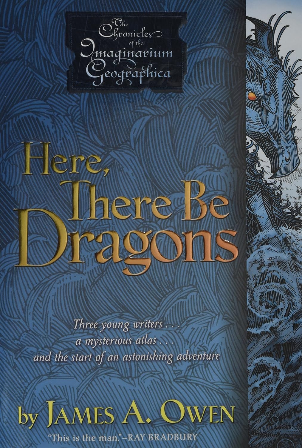 Here, There Be Dragons (Volume 1) by Owen, James A.