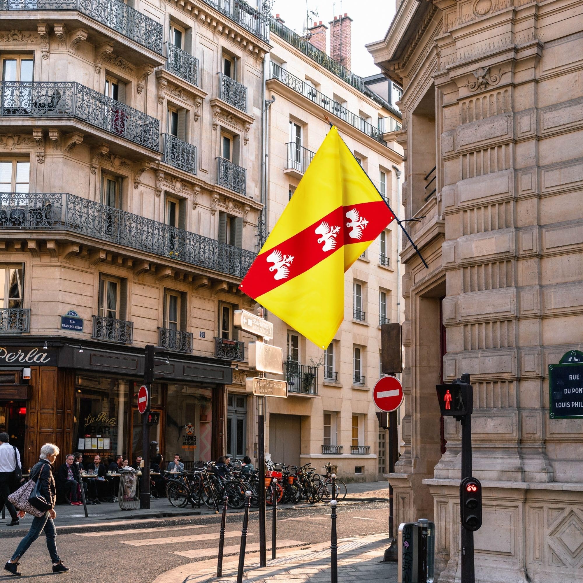 Runesol Lorraine Flag, 91x152cm, 3ft x 5ft, 4 Grommets, Eyelet In Every Corner, Premium Flags, Alsace-Lorraine, Inside - Image 3