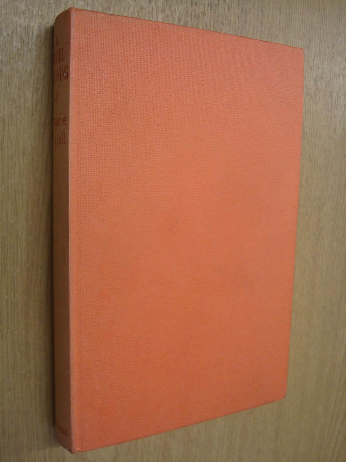 A model beginning: Riddell, Marjorie: Amazon.com: Books