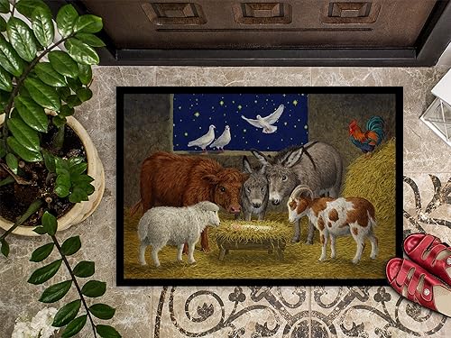 Miniatura 3 de Caroline's Treasures ASA2205JMAT - Felpudo de 24 x 36 pulgadas, tapete para puerta delantera, interior y exterior, antideslizante, lavable, pelo