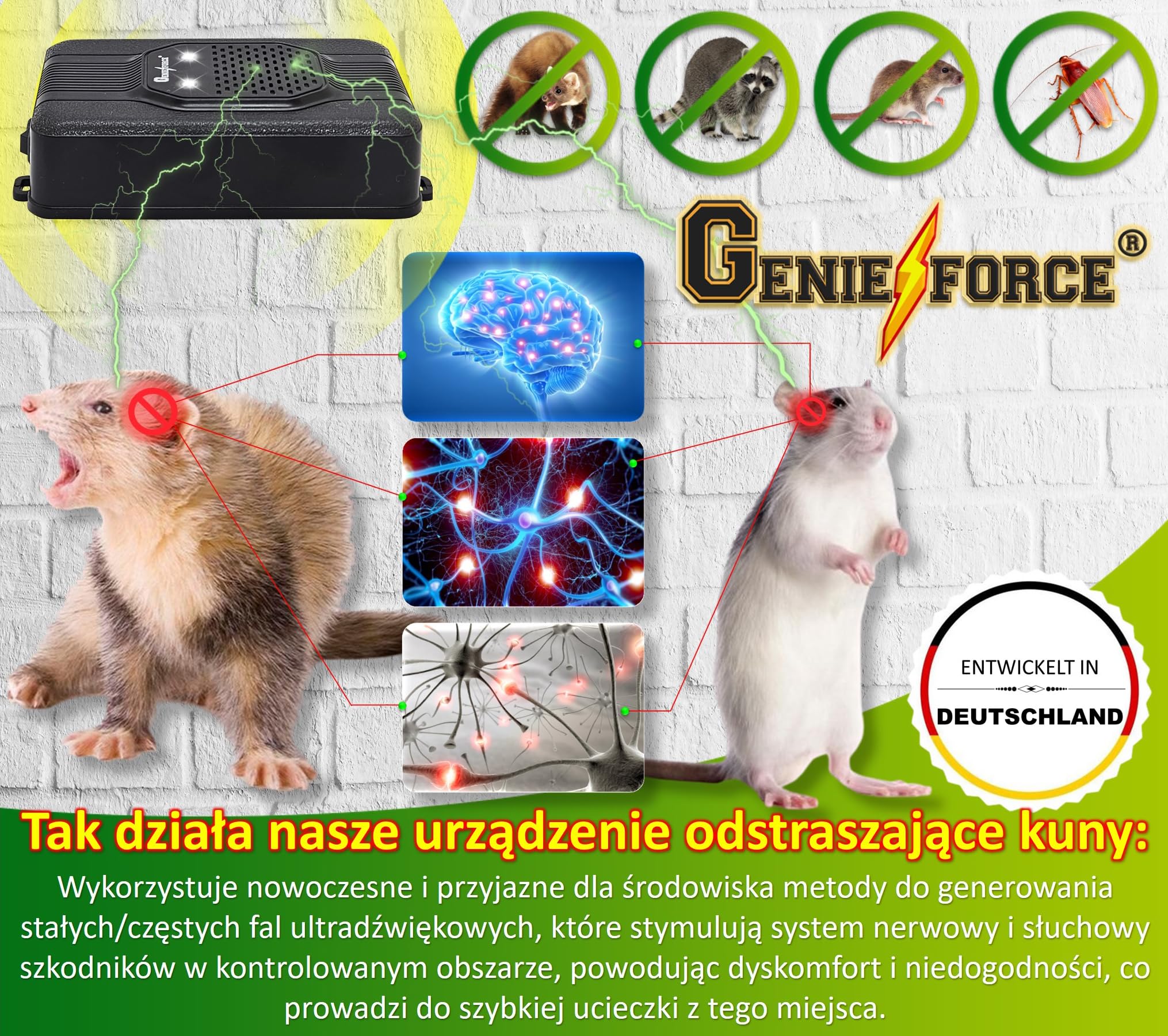 GF-JC-77 GF-JC-77 2 x GF-JC-77 ochrona przed kunami i kunami, ultradźwiękowy odstraszacz kun, odstraszacz kun, do domu, ogrodu, 2 szt