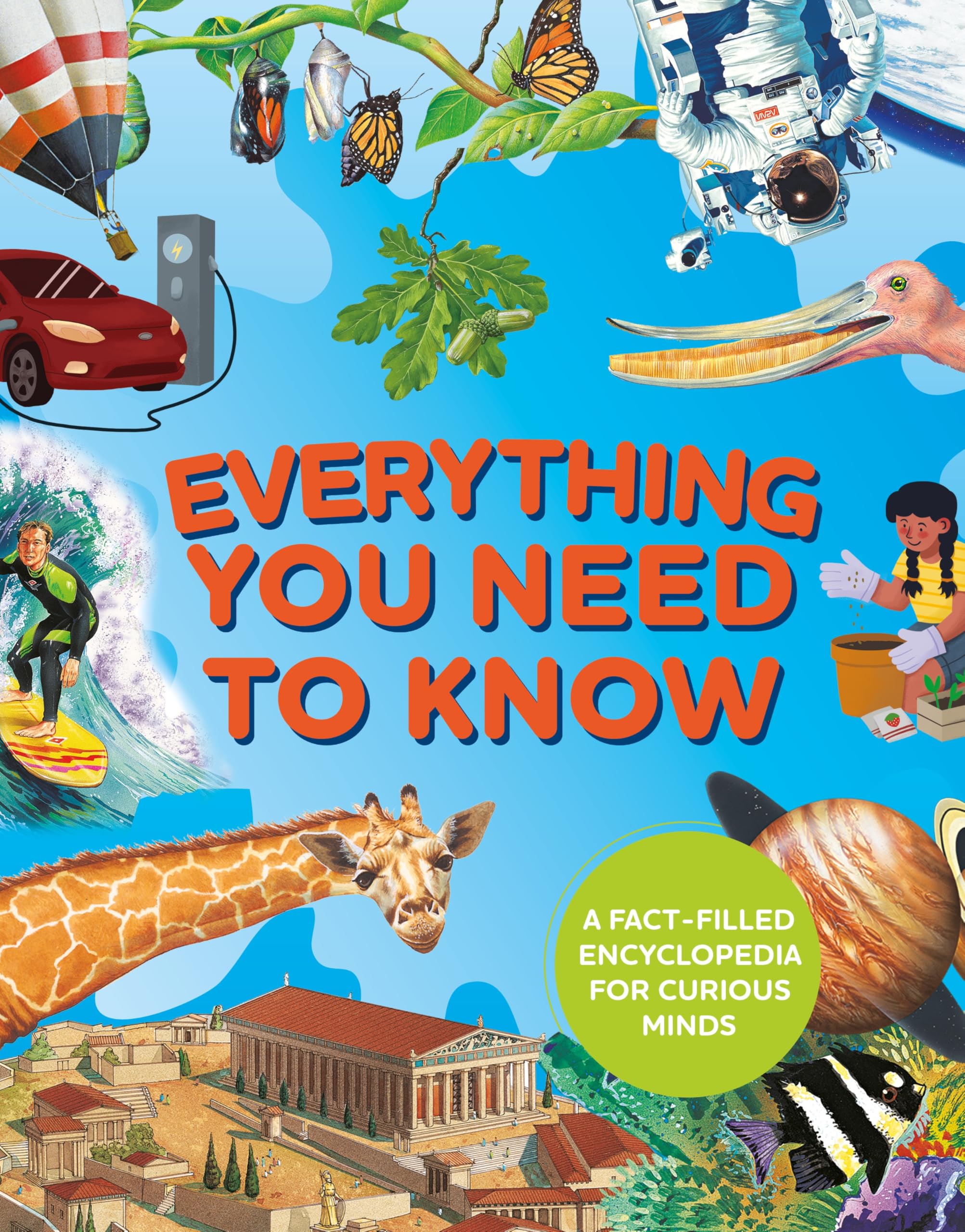 Everything You Need to Know by Deborah Chancellor, Deborah Mu... - 9781035082711