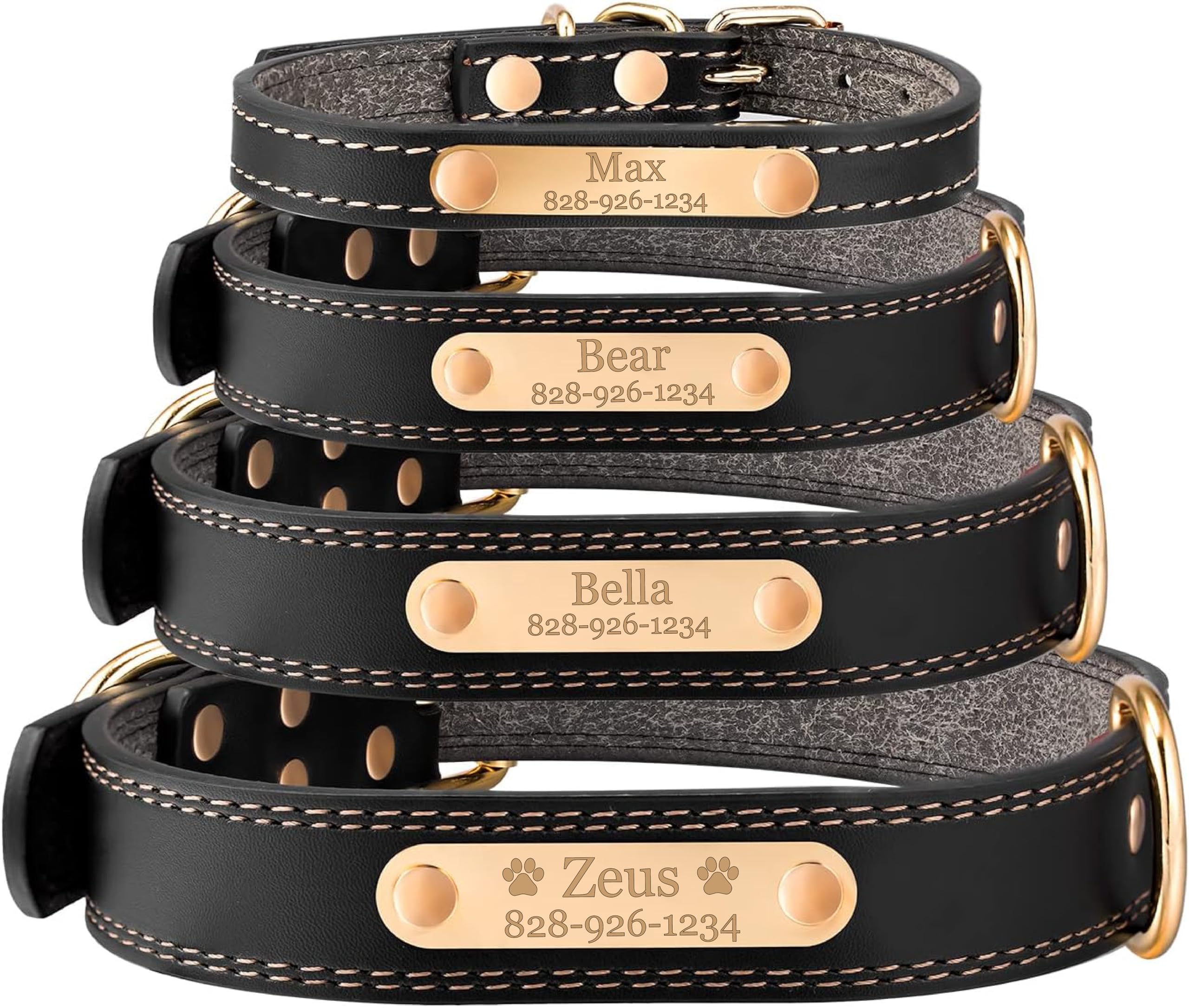 Correa Y Collar Para Perros: Los 15 Mejores Productos Comparados - Wild