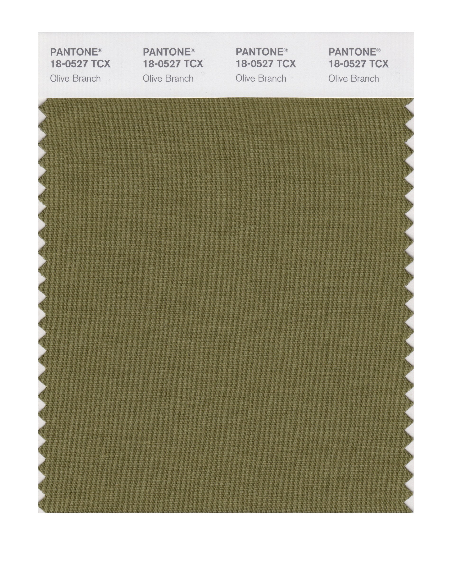 PANTONE SMART 18-0527X Color Swatch Card, Olive Branch - House