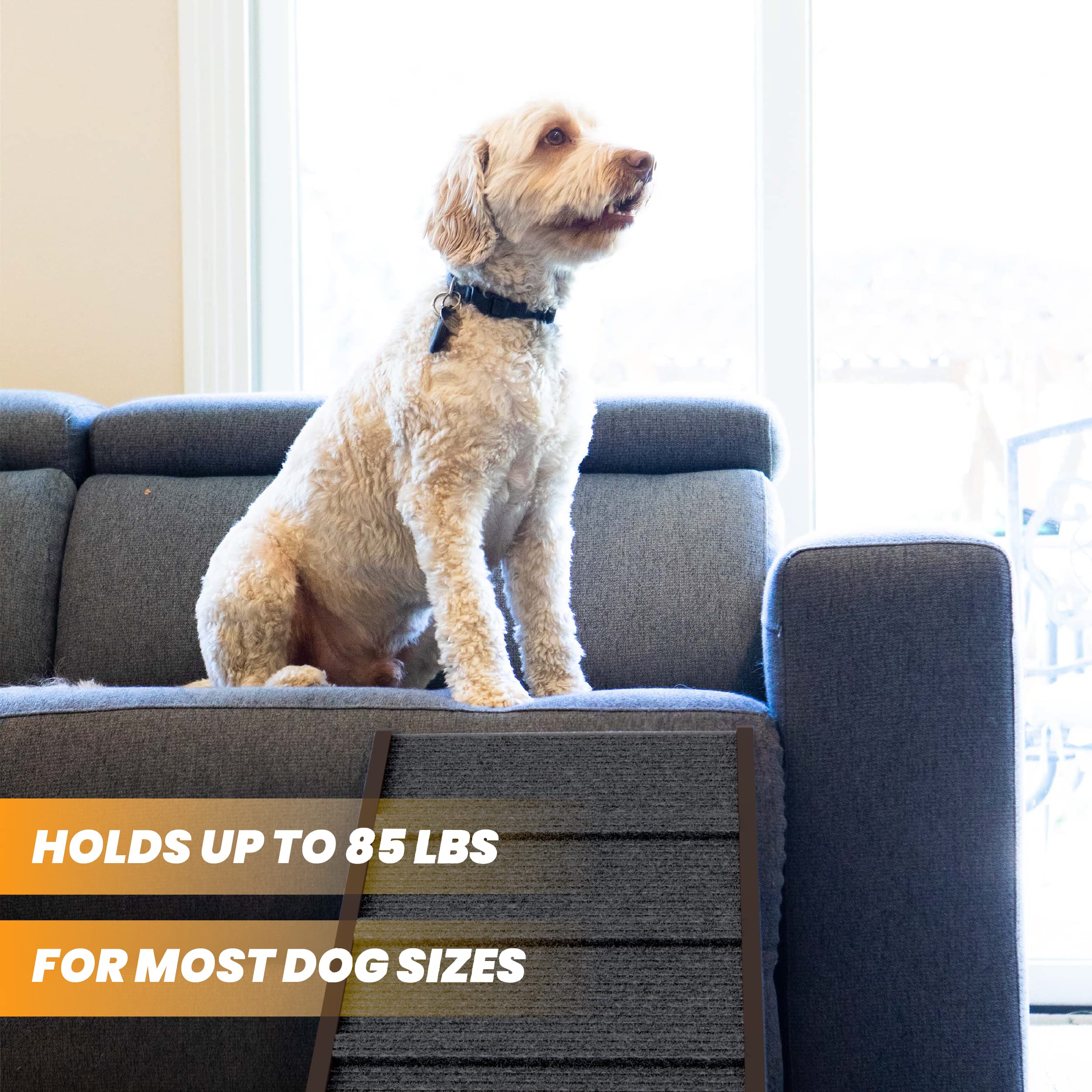 Rampa Pieghevole Per Cani Regolabile - Legno Di Pino, Portata 100 Kg, Per Letto, Auto O Divano - Foto 3