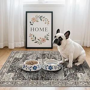 RUUGME Washable 2x3 Area Rugs - Large Boho Rugs for Living Room Stain Resistant Carpet Vintage Tribal Rugs for Bedroom Kitchen Bathroom with Non Slip Backing Home Decor Floor Decoration Mat 2x3 Black