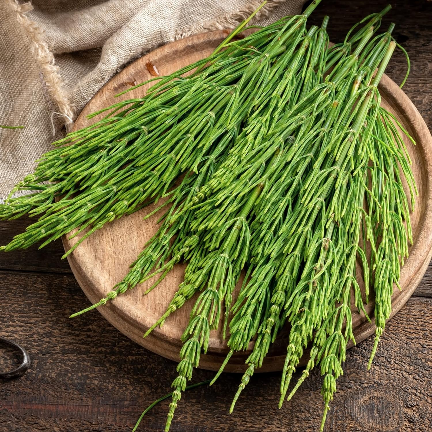 Frontier Co-op Organic Cut & Sifted Horsetail Herb 1lb