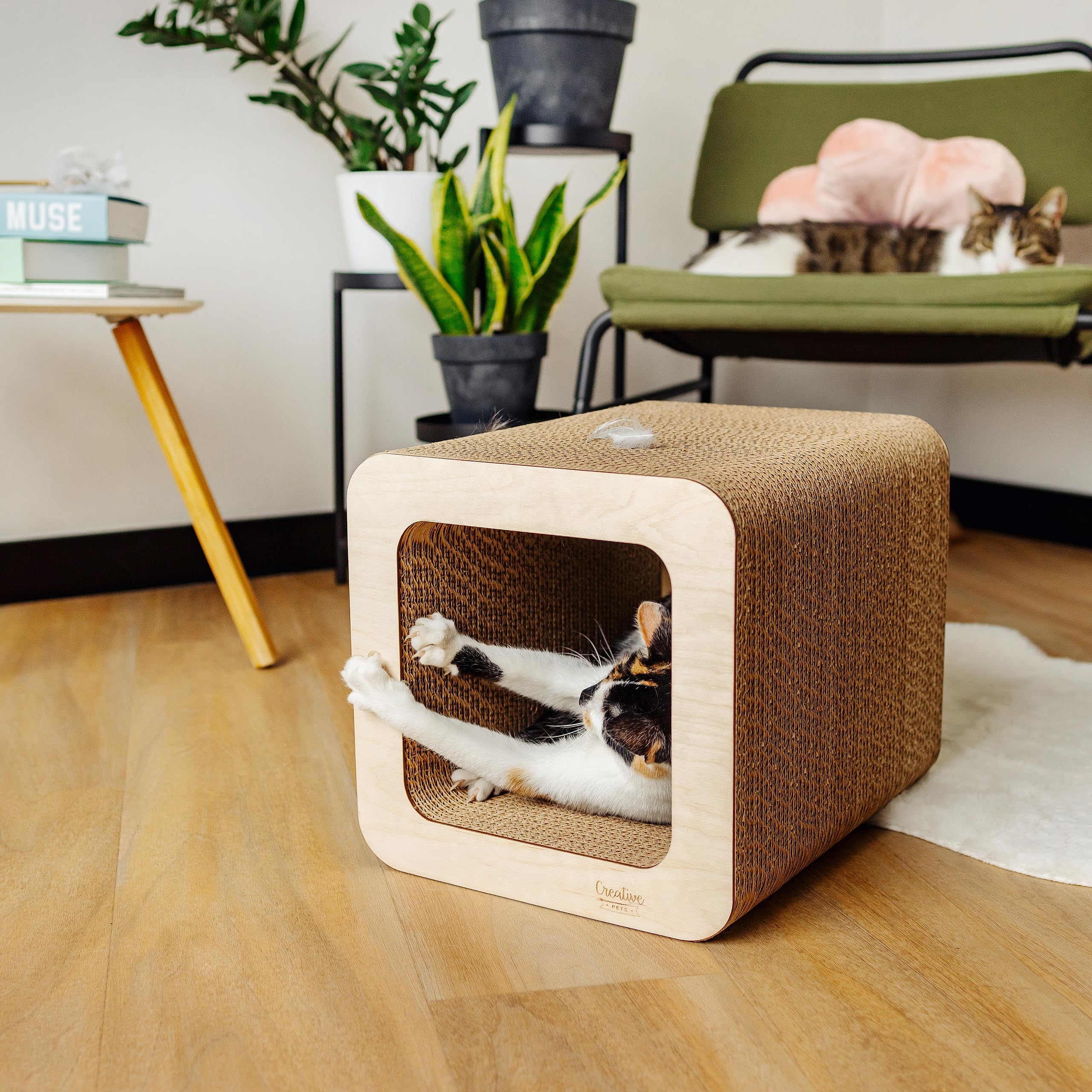 Griffoir pour Chat 37 x 30 x 30 cm + Maison en Carton | Grattoir Chat Renforcé avec du Contreplaqué | Grand Carton à Gratter pour Chats | Protège Vos Meubles