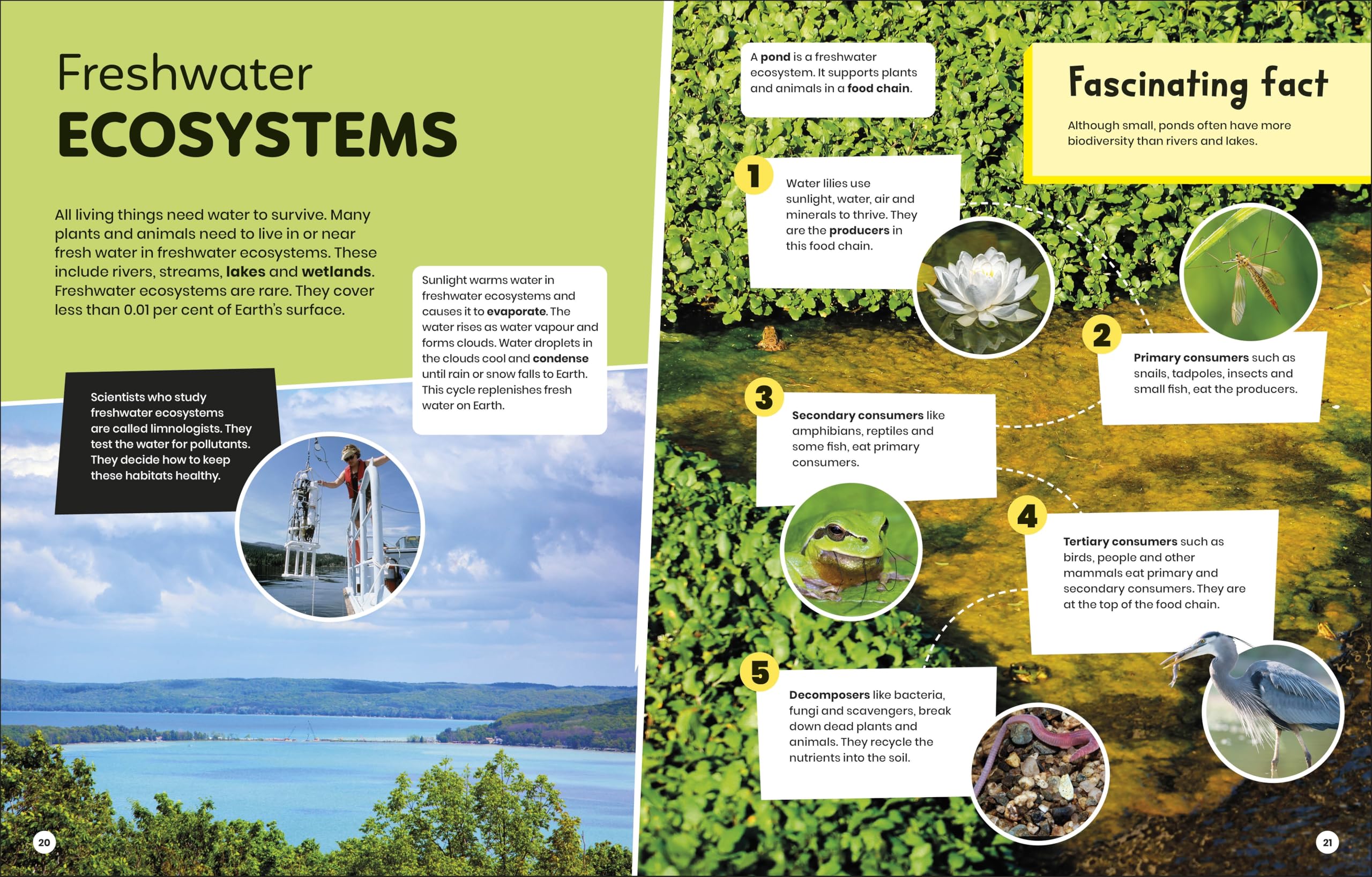 DK Super Planet Essential Ecosystems